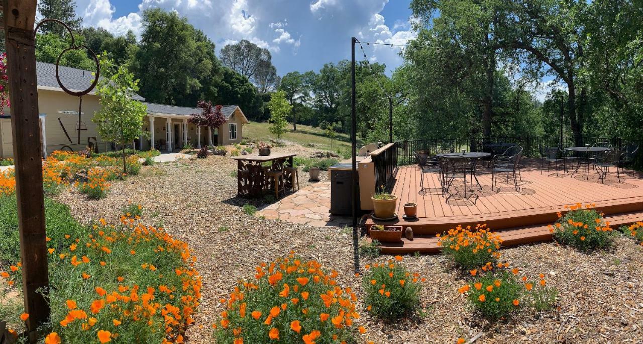 Red Tail Ranch Bed & Breakfast Groveland Ngoại thất bức ảnh